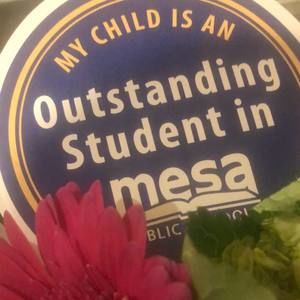 Meet your Posher, Salwa